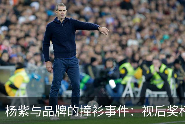 杨紫与品牌的撞衫事件：视后奖杯的背后玄机